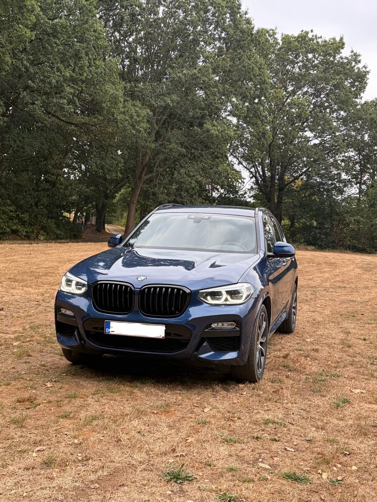 BMW X3 20d Xdrive, Automaat, Dealer onderhouden, 1995 cc, 4 cilinders
