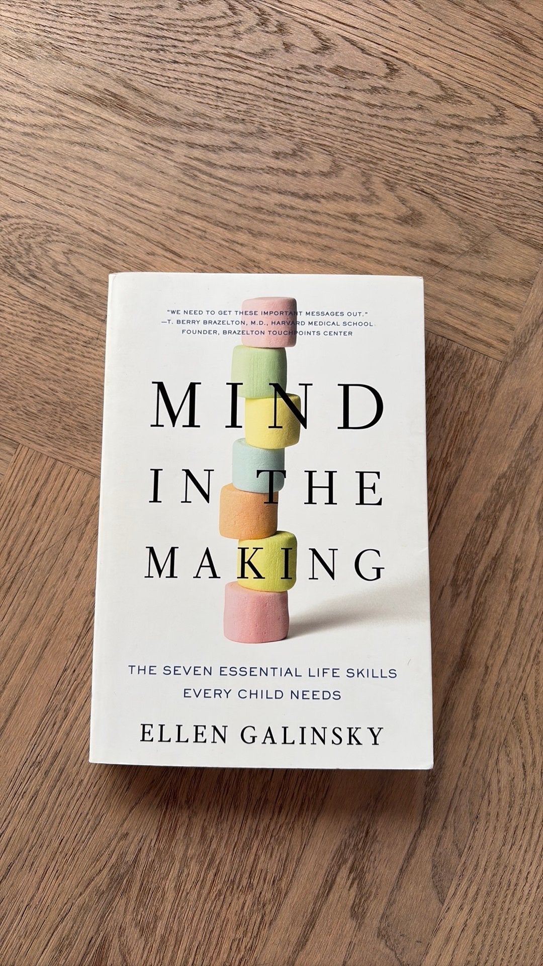 Mind in the making - Ellen Galinsly, Livres, Psychologie, Enlèvement ou Envoi, Comme neuf