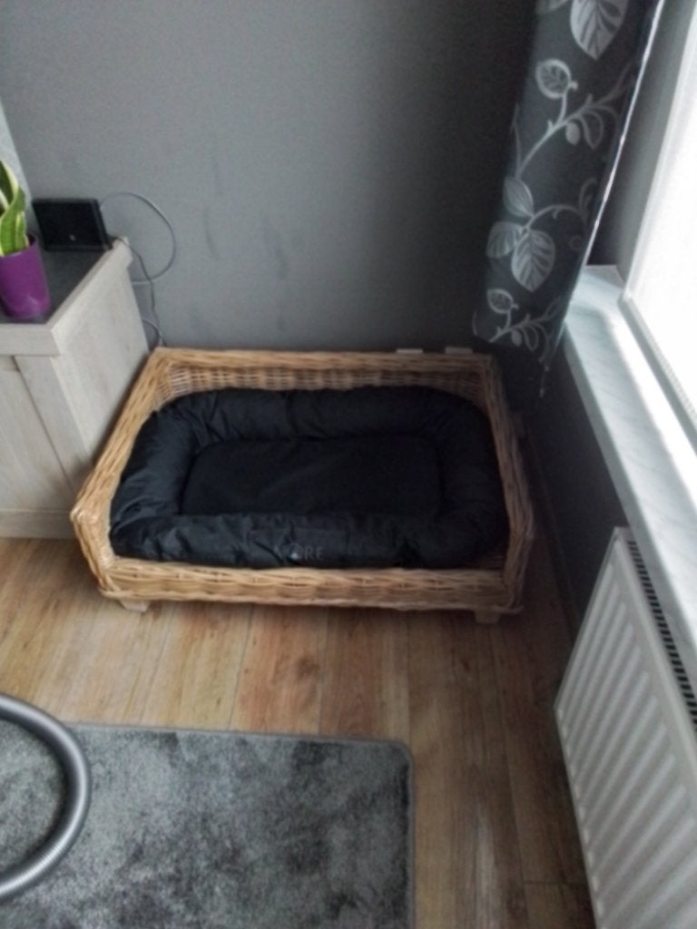 stevige rieten honden mand op pootjes, Ophalen, Zo goed als nieuw