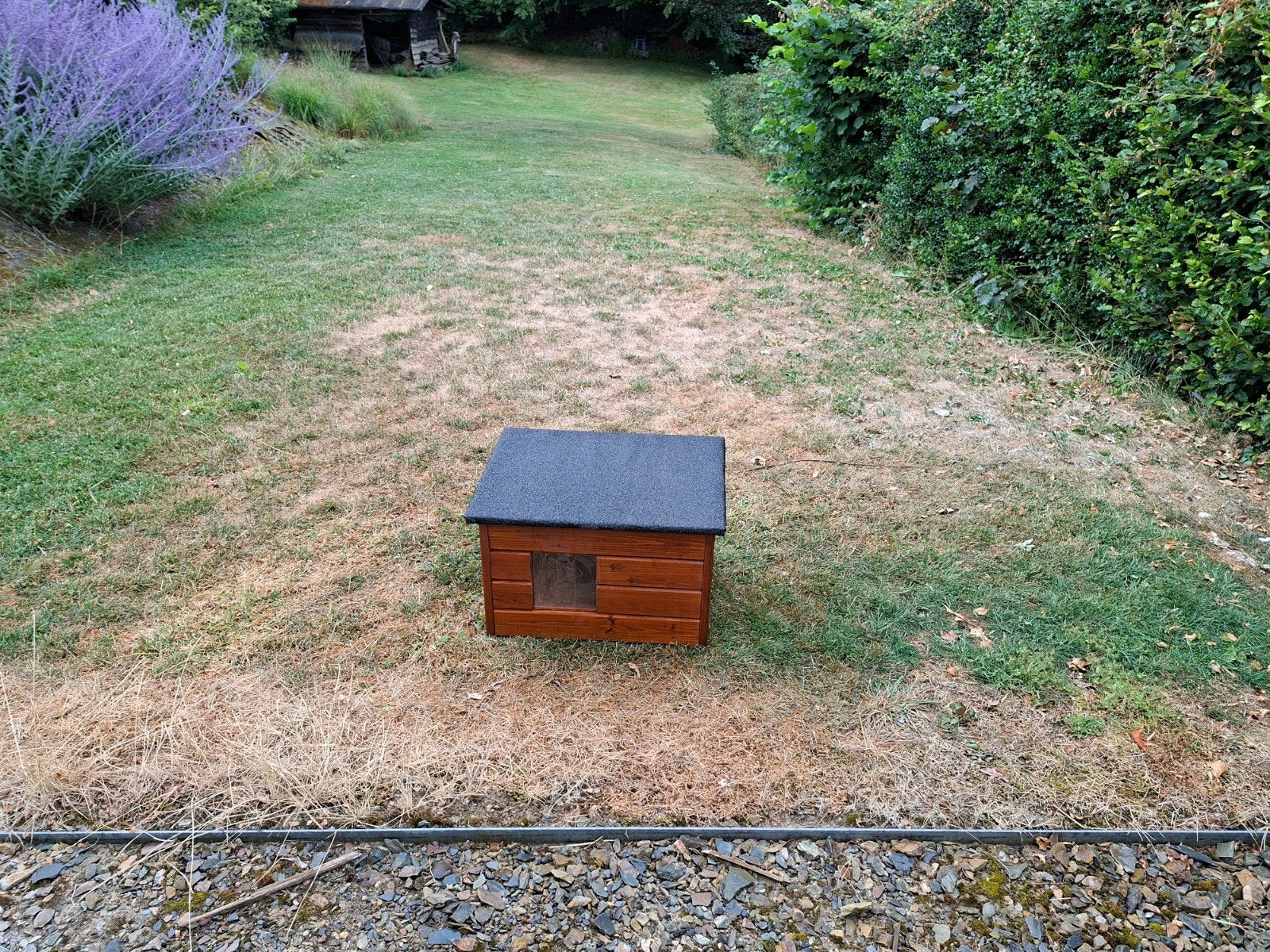 Abri pour chats, Enlèvement
