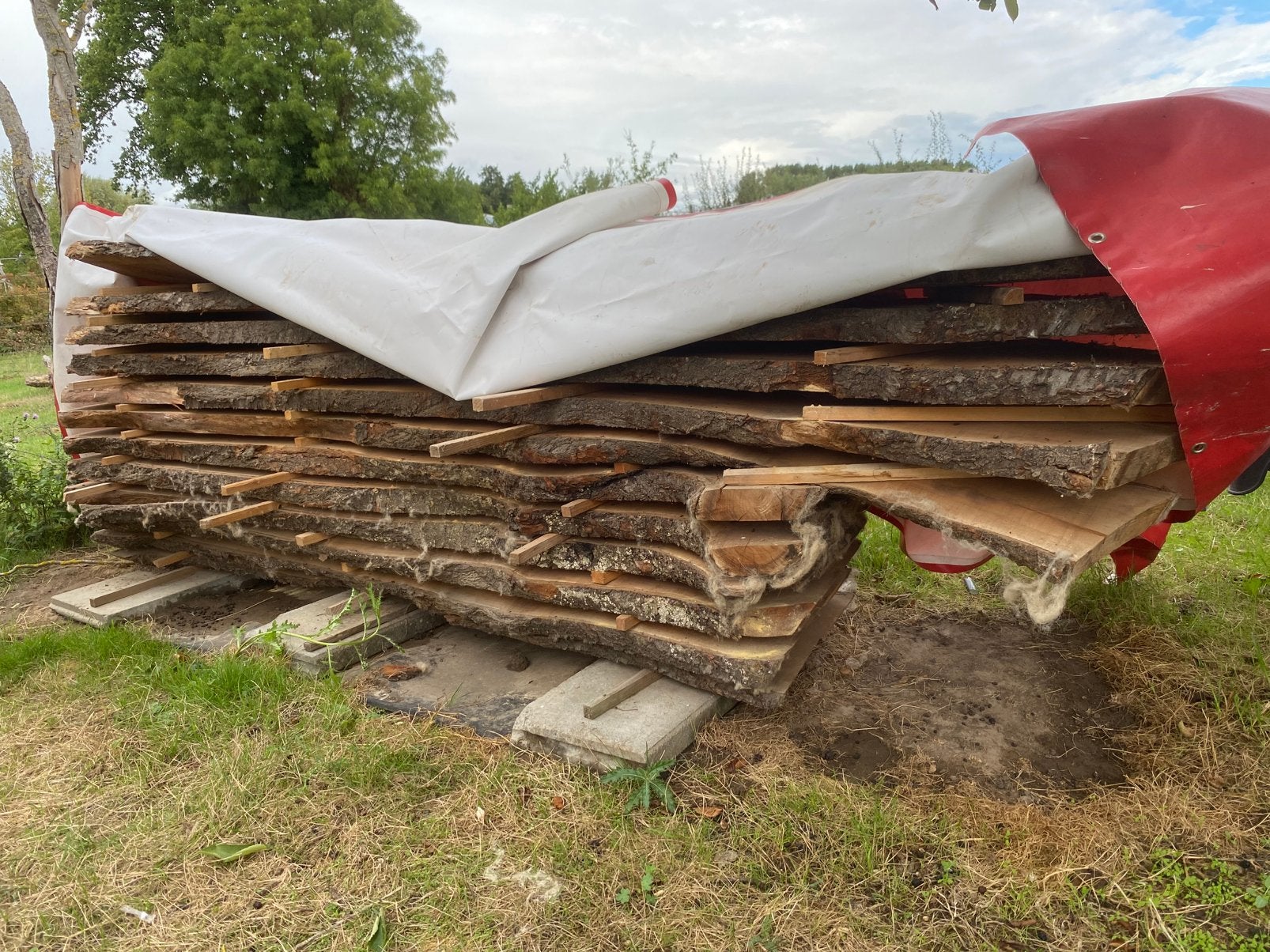 Kersenhout / schaaldelen, Ophalen, Zo goed als nieuw, Planken