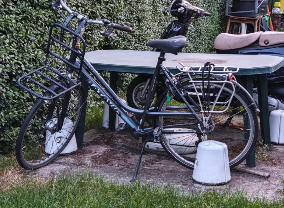 dames fiets, Ophalen, Gebruikt, Batavus