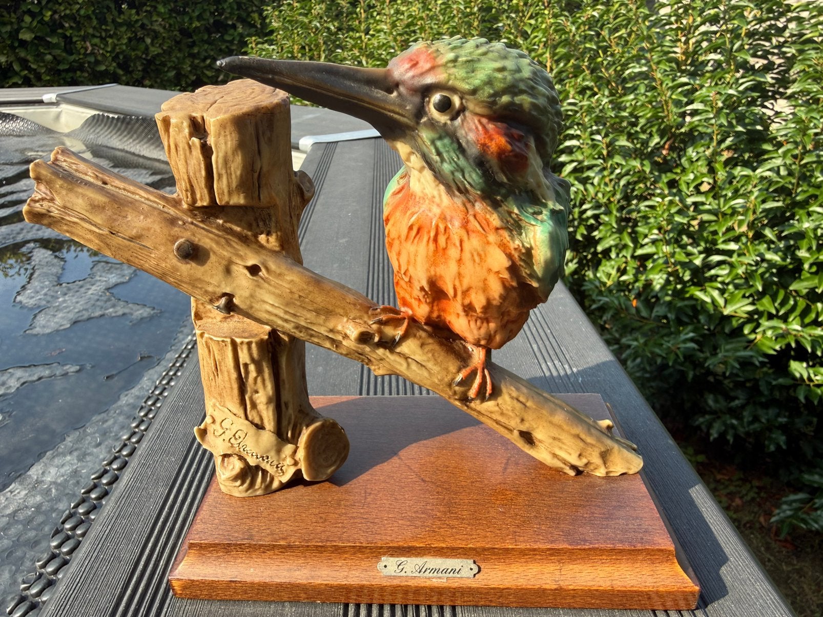 Ijsvogel op een tak , Giuseppe armani, Ophalen
