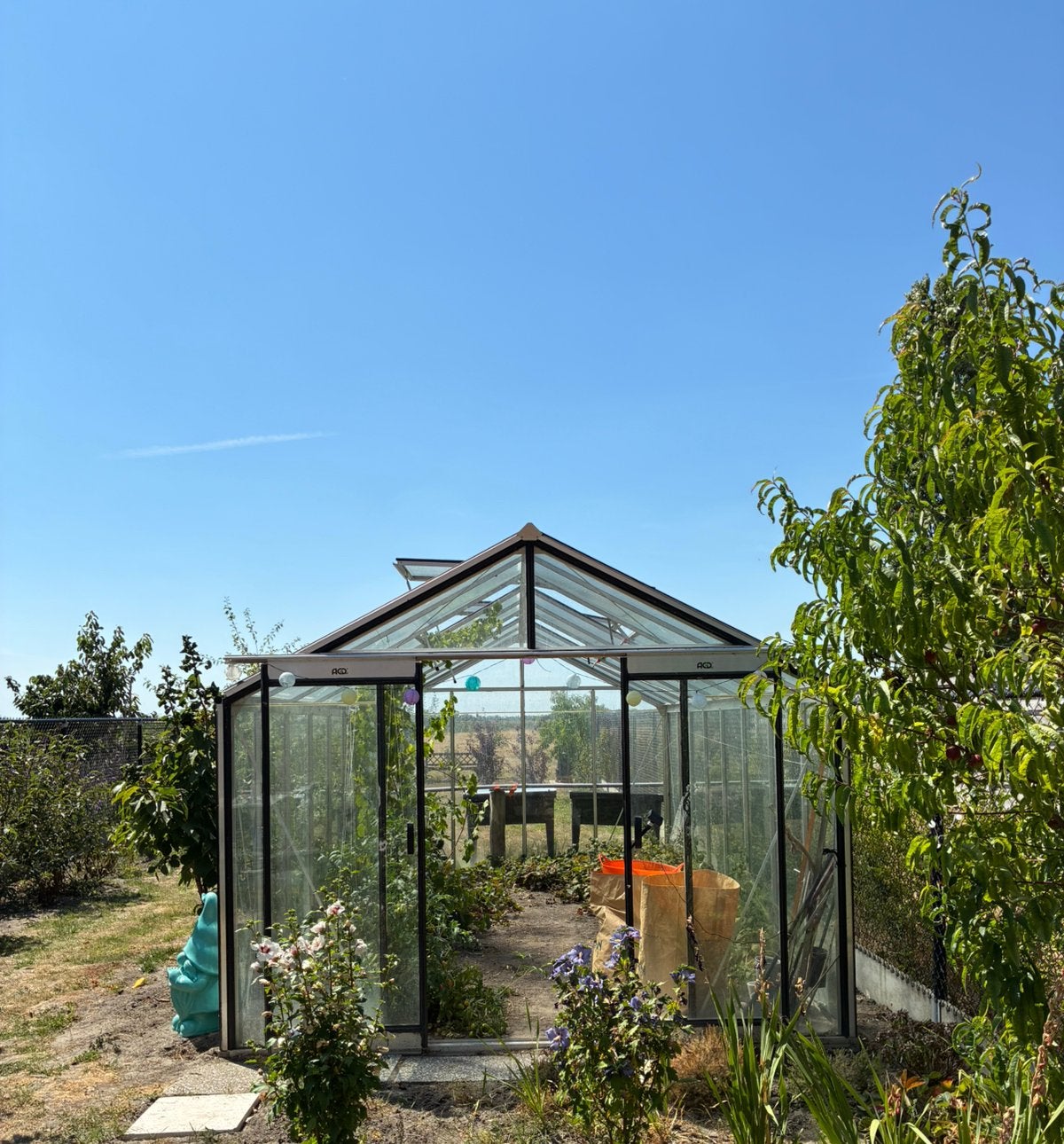 2de hands ACD serre Prestige R308H, Tuin en Terras, Ophalen, Kweekkas, Zo goed als nieuw, Glas