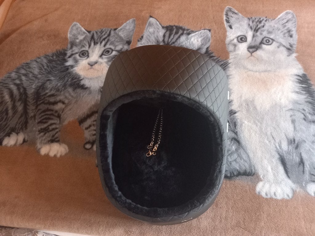 Honden of katten autostoel, Animaux & Accessoires, Accessoires pour chats, Enlèvement, Neuf