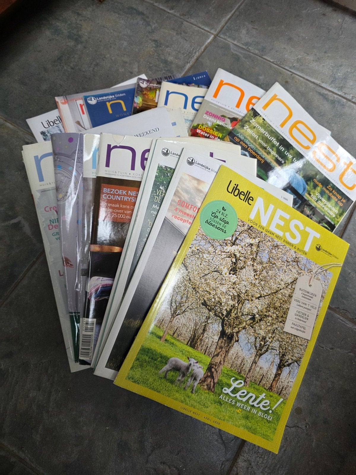 Nest magazine gratis, Livres, Journaux & Revues, Enlèvement