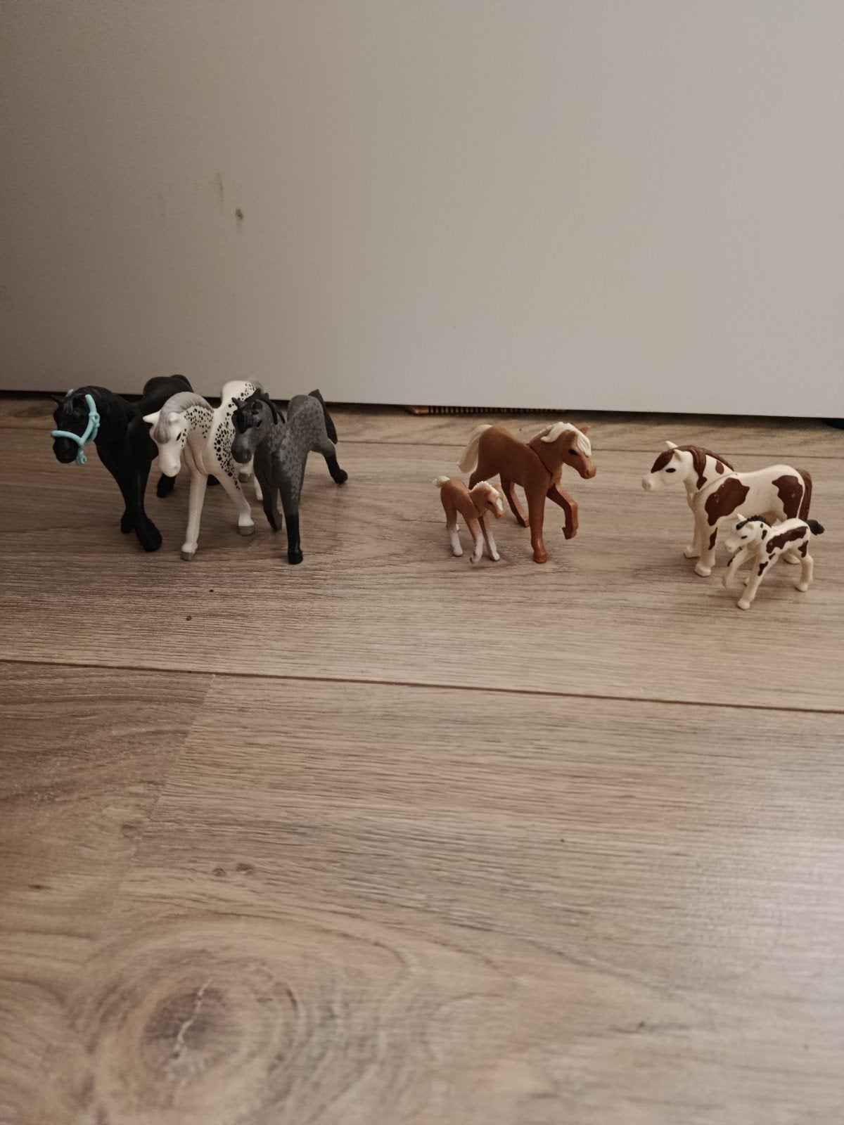 paarden set, Ophalen