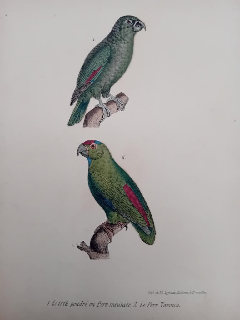 Gravure ancienne Le Grik Le Perr.Tavoua lot 153, Enlèvement ou Envoi