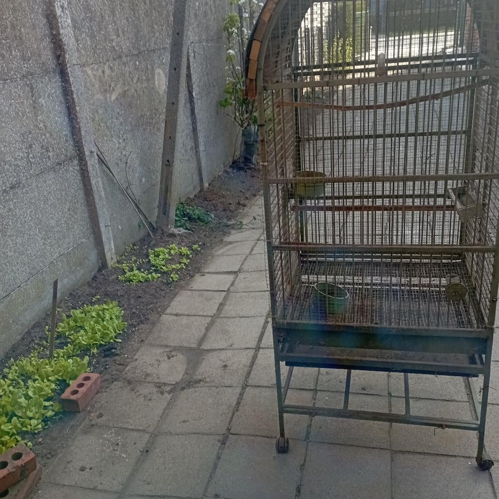 groot metalen vogelkooi, Dieren en Toebehoren, Ophalen, Gebruikt, Metaal, Vogelkooi