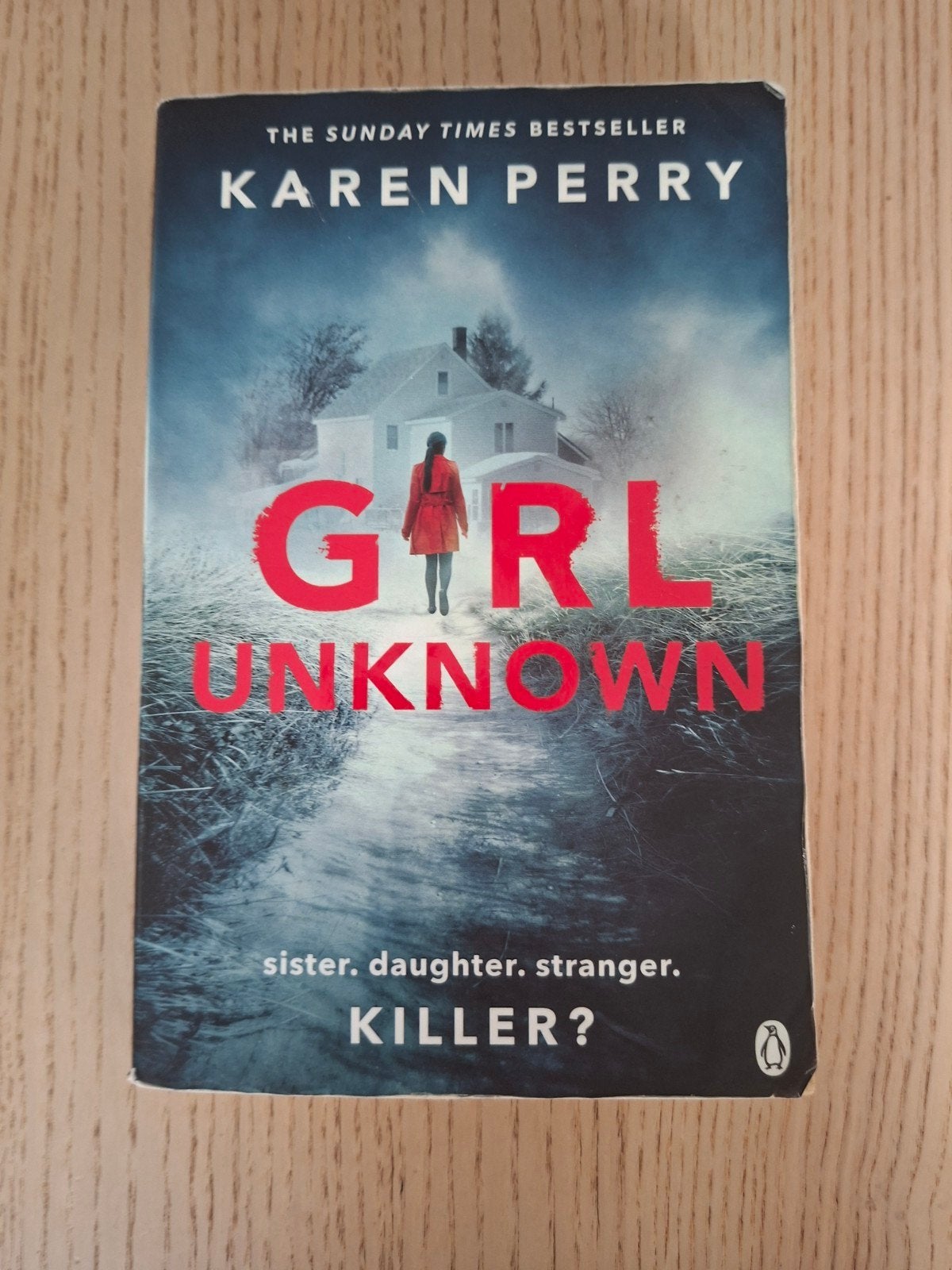 Karen Perry - Girl Unknown, Engelstalig, Ophalen of Verzenden, Karen Perry