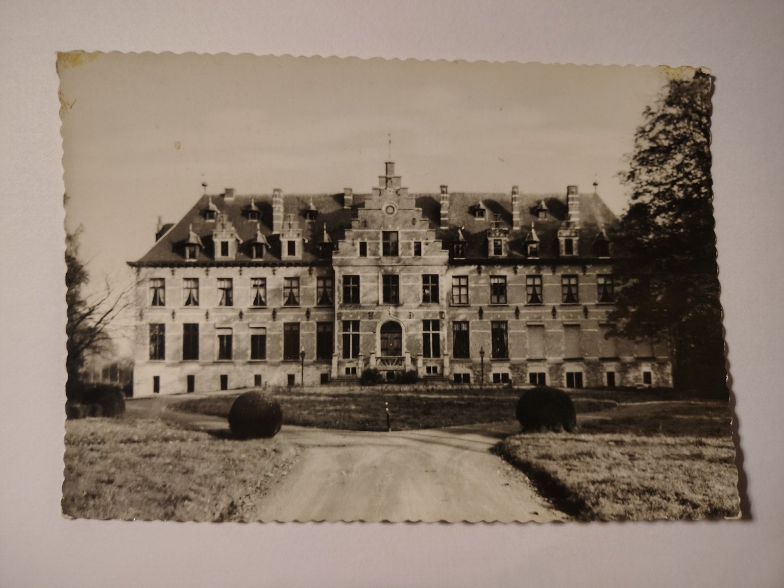 Viersel Kasteel, Ophalen of Verzenden