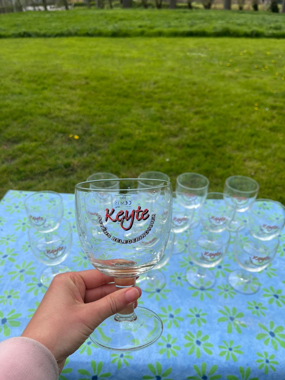 Bierglazen Keyte 15 stuks 33 cl, ook afzonderlijk te koop., Ophalen, Gebruikt