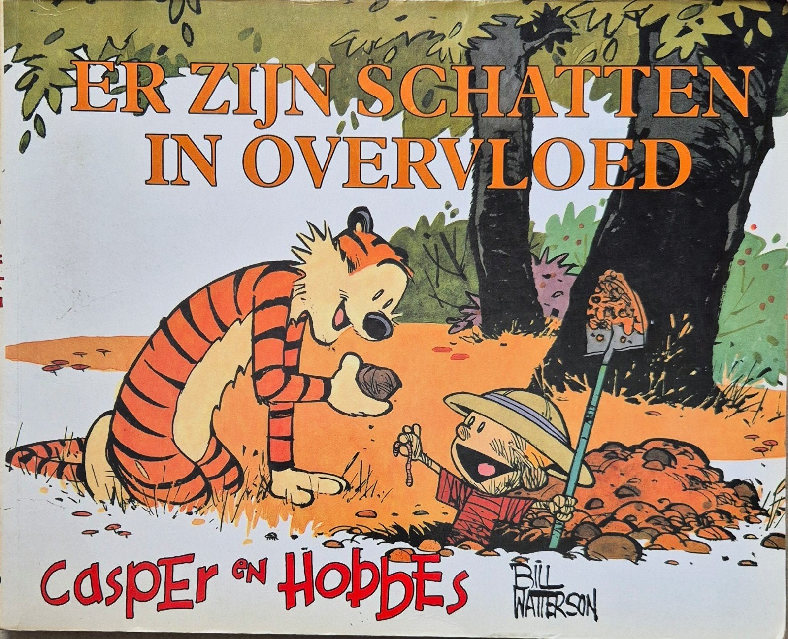 Casper en hobbes. Er zijn schatten in overvloed., Boeken, Ophalen