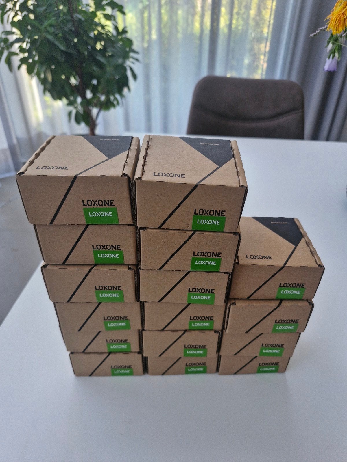 Loxone Nano DI Tree, Enlèvement, Neuf