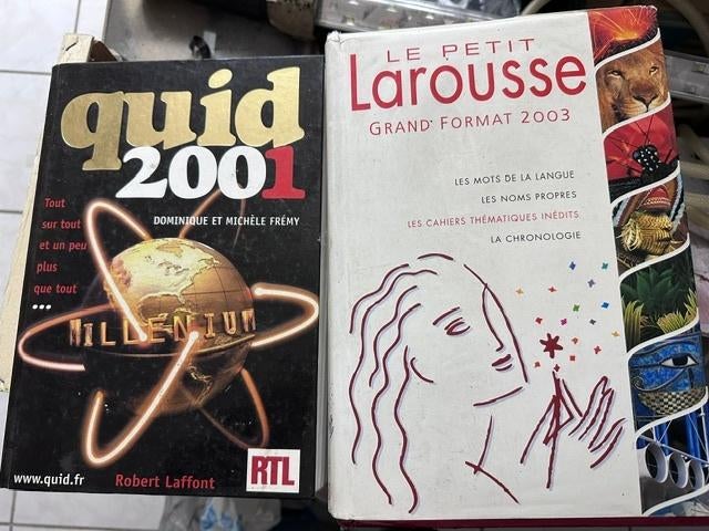 larousse de 2003 et un Quit de 2001, Livres, Dictionnaires, Comme neuf, Enlèvement, Français, Methode 90 jours et Larousse
