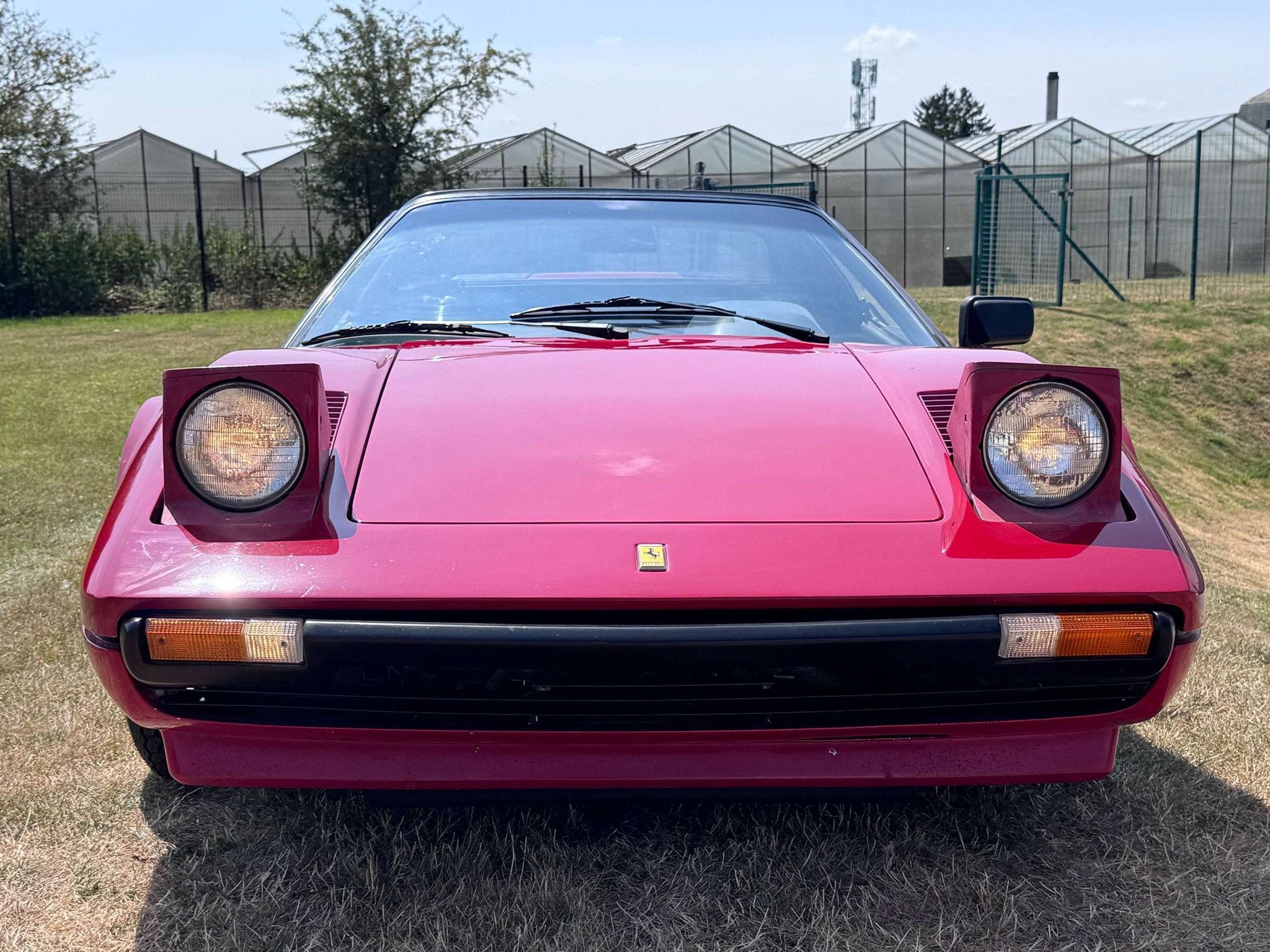Ferrari 308 GTS I 1980 Targa Oldtimer (bj 1980), foto 4