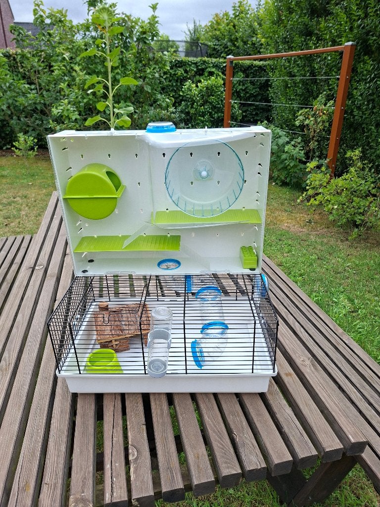 hamsterkooi, Animaux & Accessoires, Rongeurs & Lapins | Cages & Clapiers, Comme neuf, Cage, Moins de 60 cm, Moins de 75 cm, Hamster