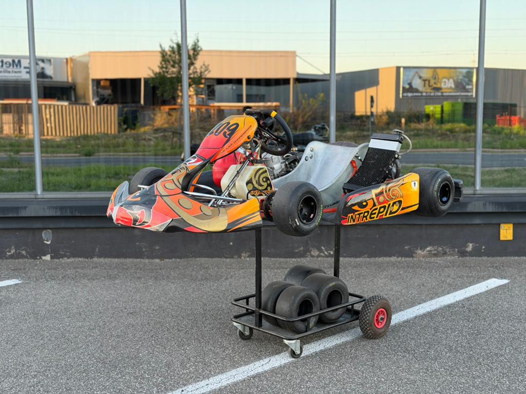 Kart Intrepid manuel 250cc 2018 avec stand et pneus, Enlèvement, Utilisé, Kart