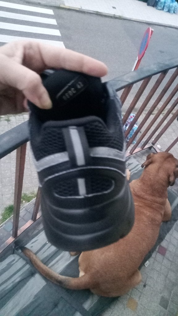 Schoenen  Dior, Ophalen, Cristian Dior, Zwart, Zo goed als nieuw