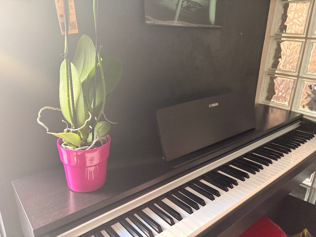Piano digital Yamaha, Musique & Instruments, Digital, Enlèvement, Utilisé, Piano