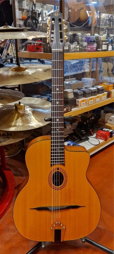 Eastman, Godin, Gretsch, Seagull, Sigma, Martin, Takamine..., Musique & Instruments, Enlèvement ou Envoi, Utilisé, Guitare Western ou Guitare Folk