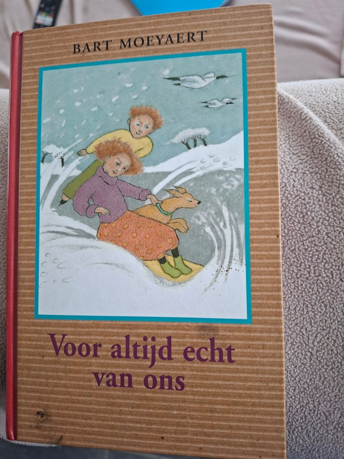 voor altijd echt van ons   bart moeyaert, Enlèvement ou Envoi