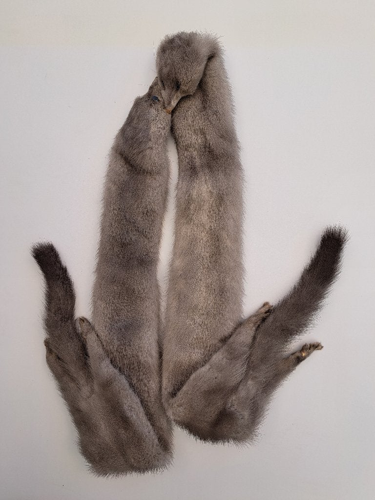 Nerts sjaal, Vêtements | Femmes, Bonnets, Écharpes & Gants, Enlèvement, Comme neuf, Écharpe