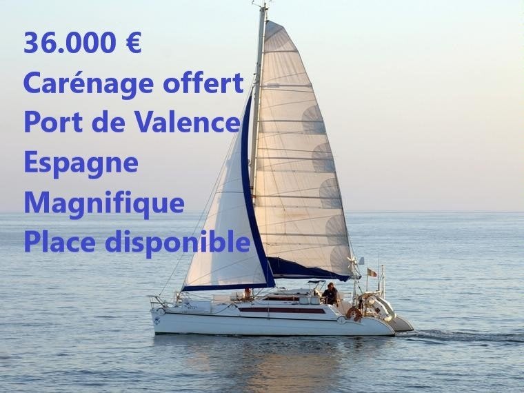 Catamaran Edelcat 35/moteur neuf/port de Valence/Espagne, Autres modèles, 11 m, Essence, Autres marques