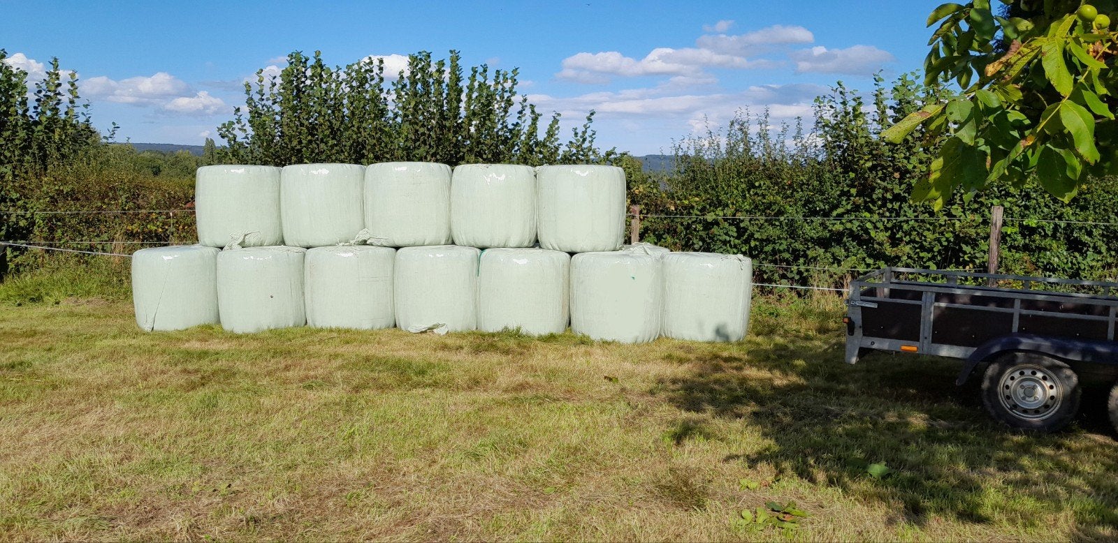 Mini balle de foin  100kg +-