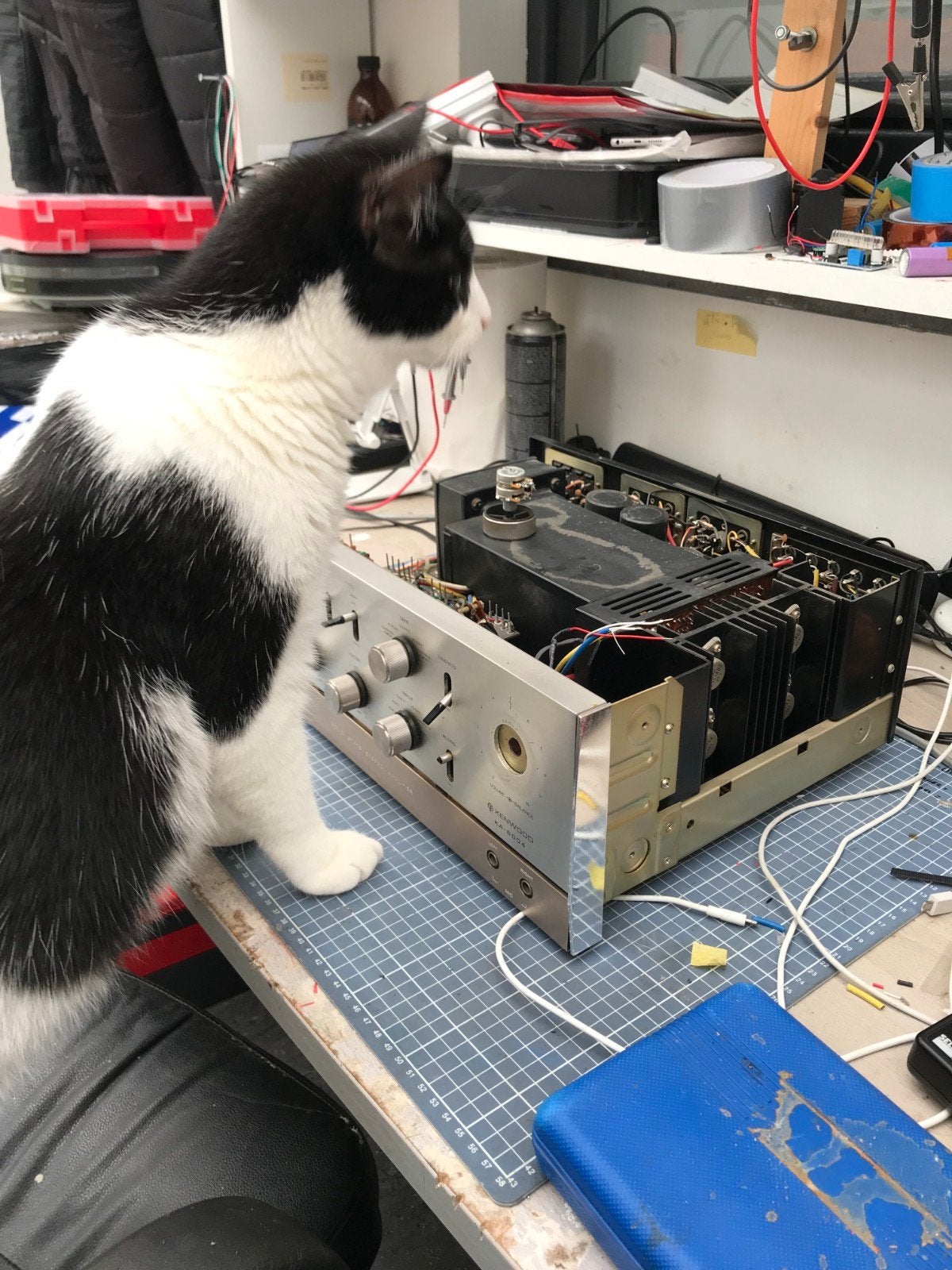 Ampli lab. Réparation d'amplificateurs