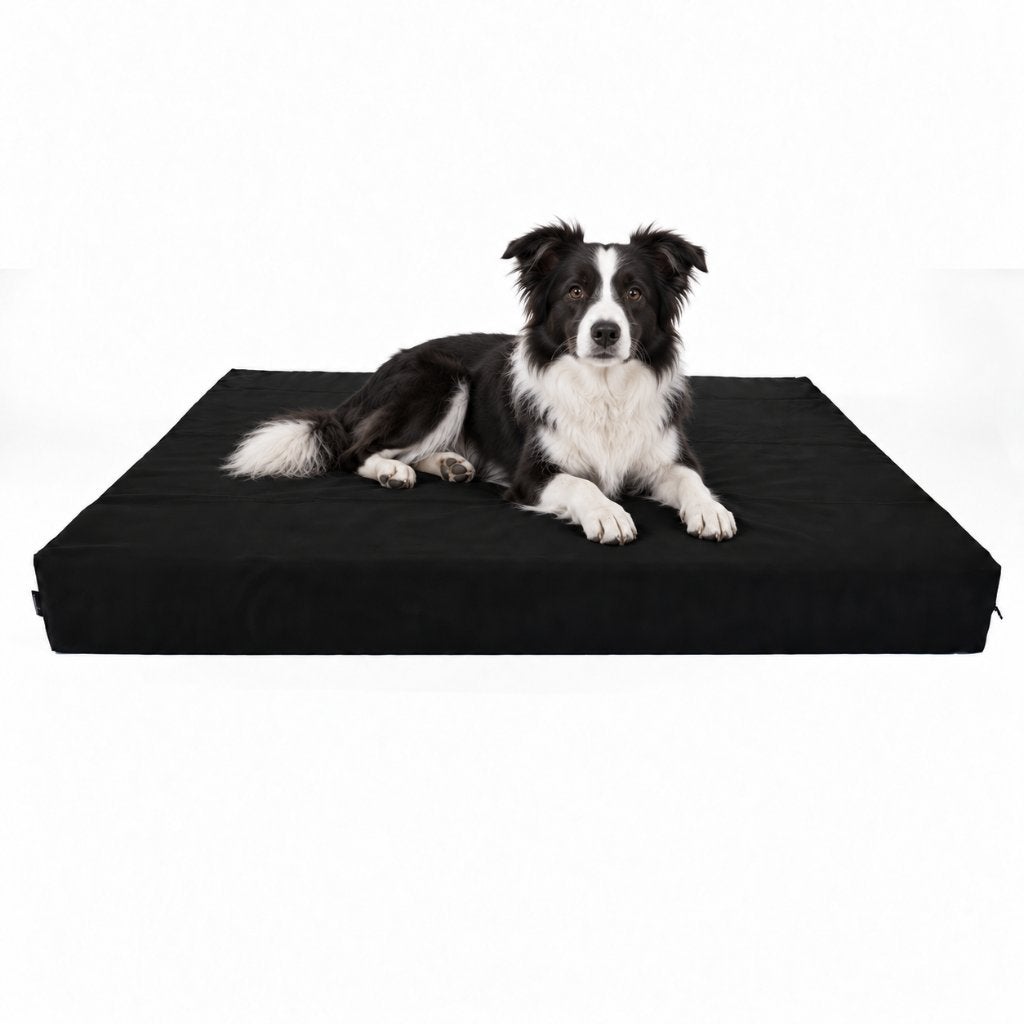Panier orthopédique pour chien taille L (Cordura), Envoi, Neuf, Polyester