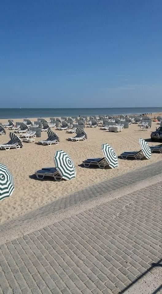 Te huur aan zee koksyde bad., Appartement, Aan zee