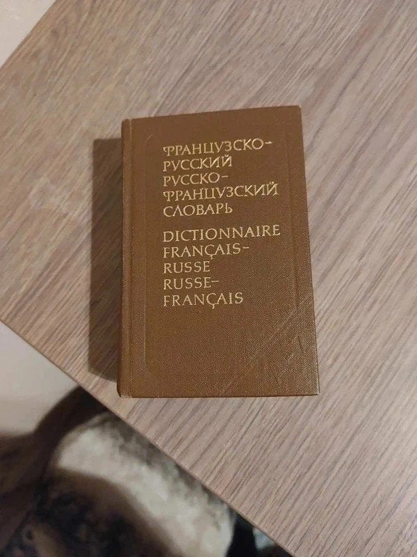 Frans-Russisch en Russisch-Frans woordenboek, Boeken, Ophalen of Verzenden, Gelezen, Frans