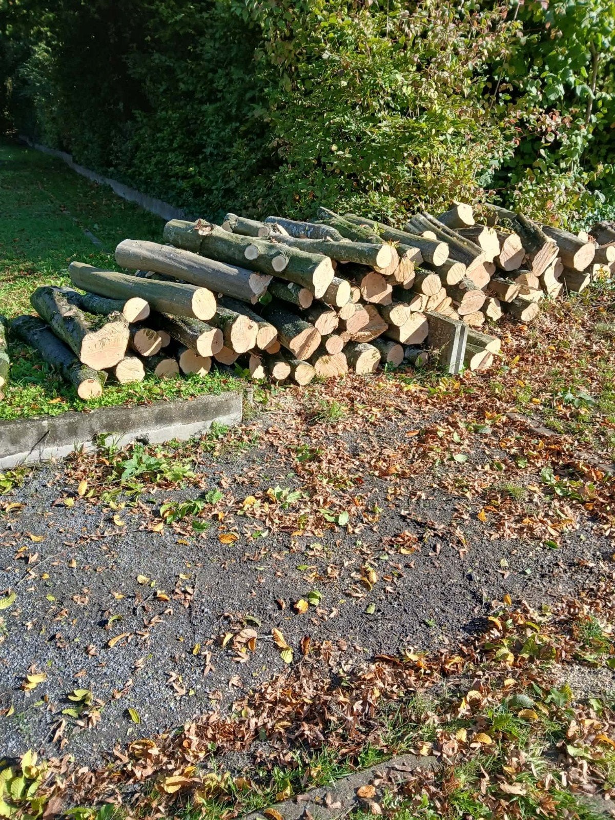 brandhout, 3 tot 6 m³, Ophalen, Beukenhout, Stammen
