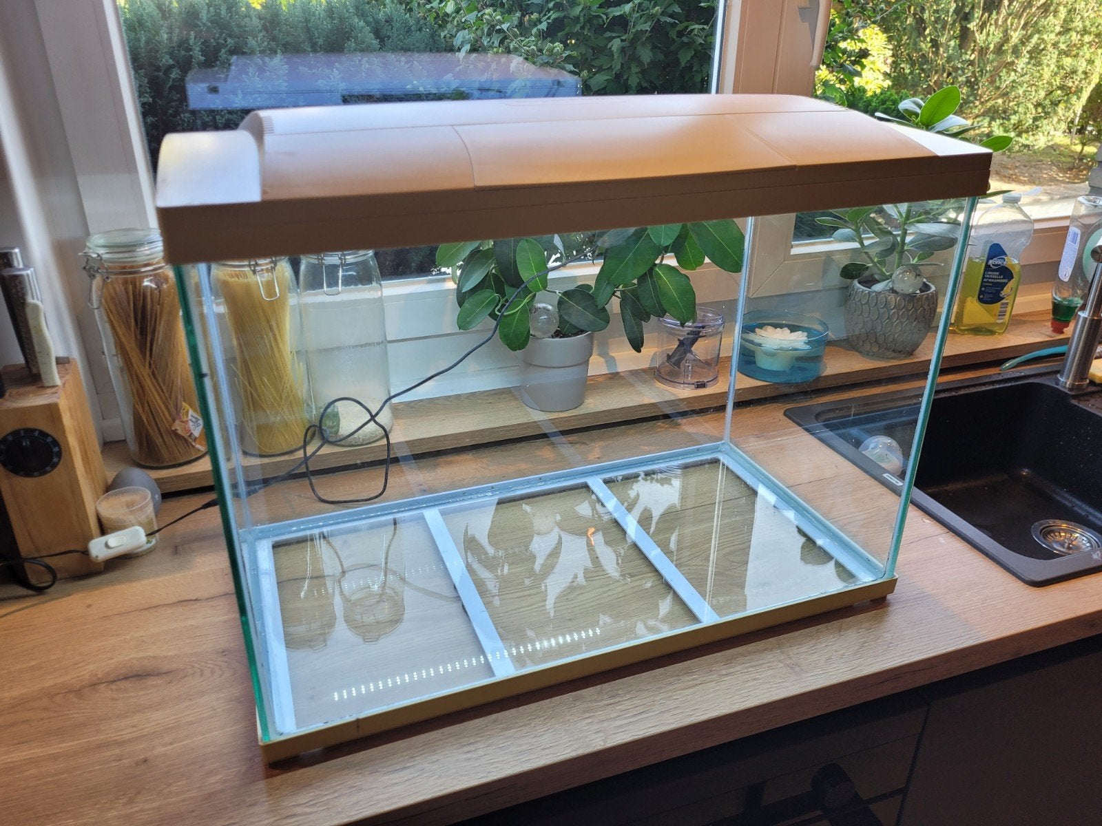 Aquarium + lumière, Animaux & Accessoires, Enlèvement