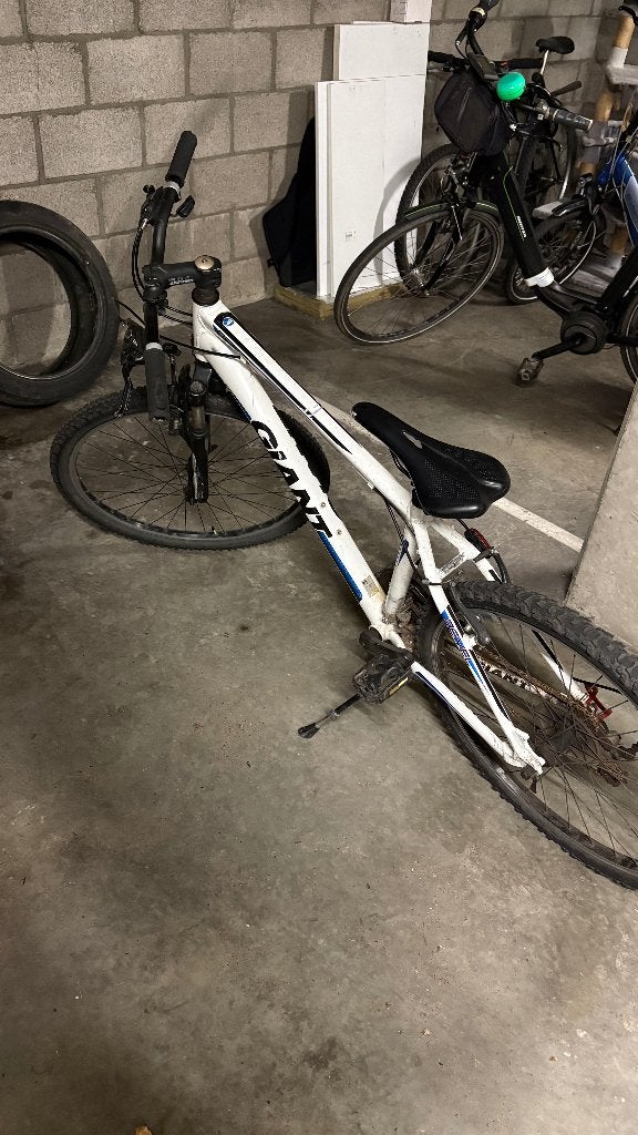 Vélo GIANT, 26 pouces ou plus, Frein à main, Enlèvement, Utilisé