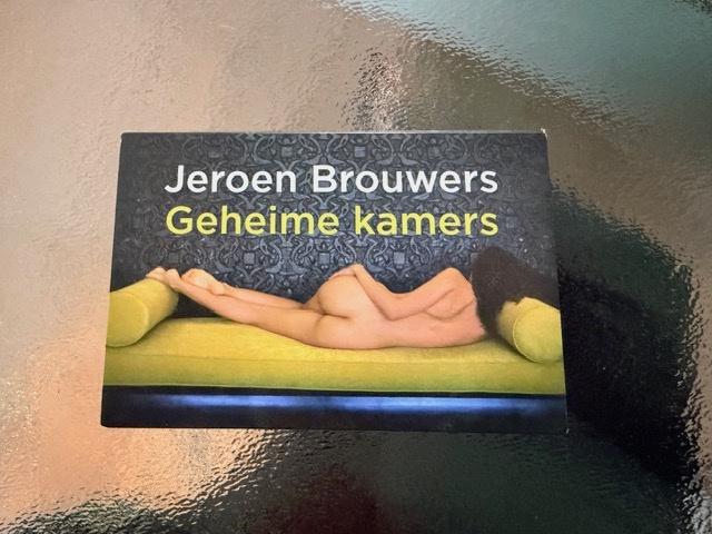 dwarsligger - Geheime Kamers, Boeken, Jeroen Brouwers, Ophalen of Verzenden, Zo goed als nieuw, Nederland