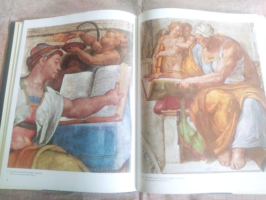 boek: het leven van Michel Angelo + Het complete werk, Boeken, Ophalen of Verzenden, Gelezen, Schilder- en Tekenkunst
