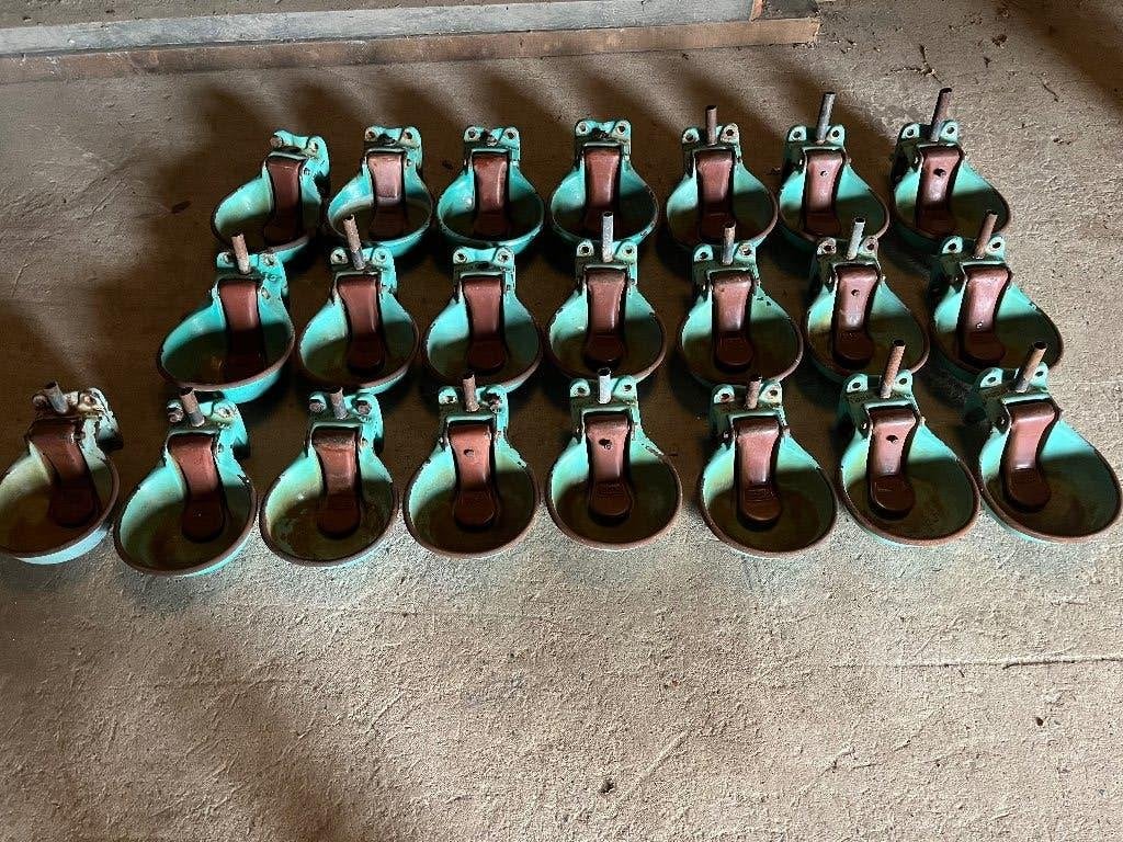 Drinkbakken voor runderen, Dieren en Toebehoren, Geslacht onbekend, 3 tot 6 jaar