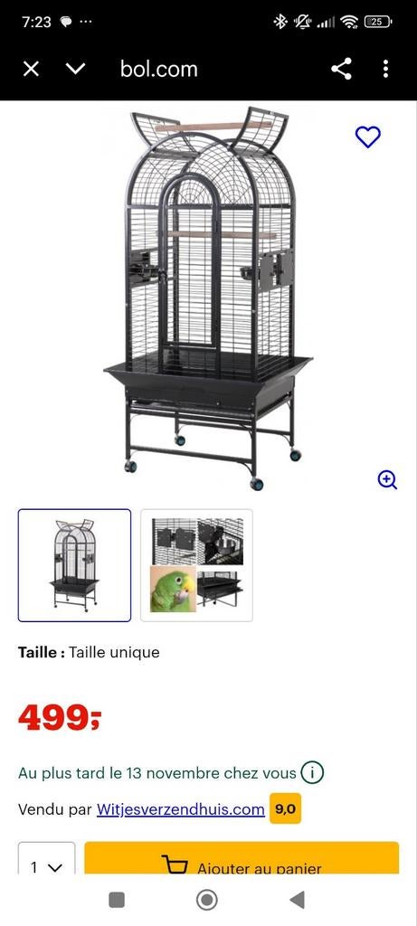 Cage perruches, Enlèvement