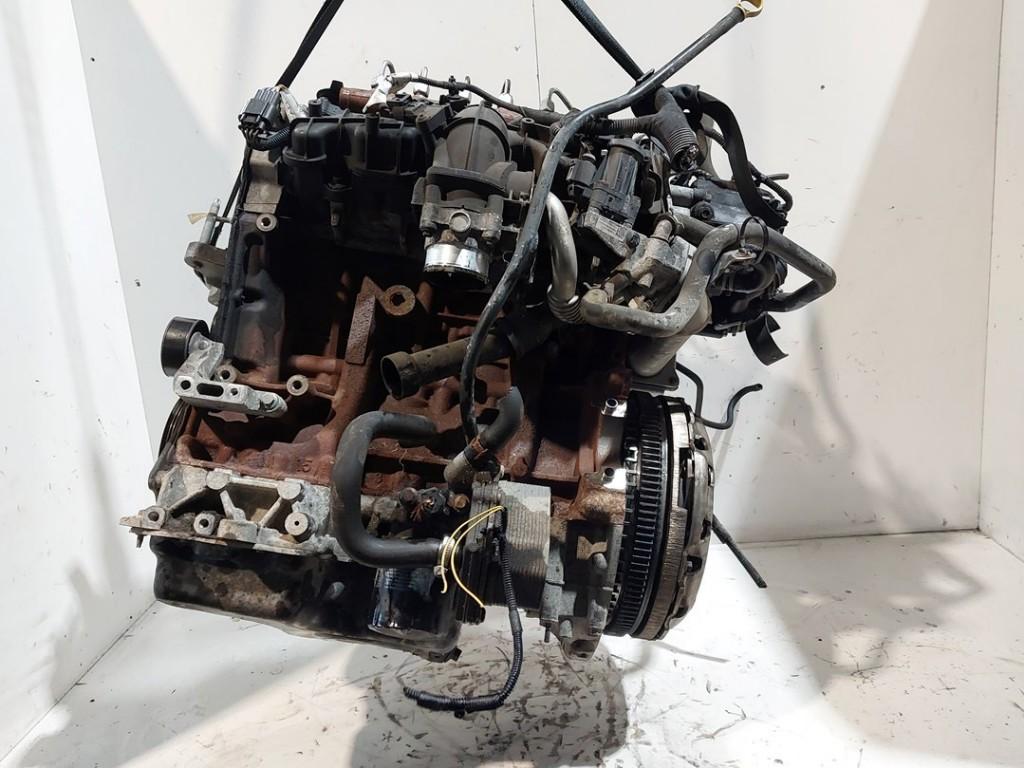 MOTOR Ford Transit Custom (01-2011/12-2023), Auto-onderdelen, Dhr. J. Ham, Gebruikt, Administratie@autoham.nl, Ford