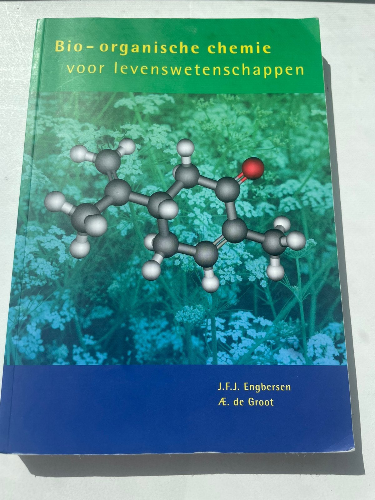 Bio-organische chemie voor levenswetenschappen, Livres, Livres d'étude & Cours, Enlèvement, Utilisé, Enseignement supérieur