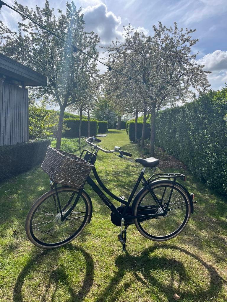 Damesfiets Cortina Transport zwart U40, Ophalen, Zo goed als nieuw