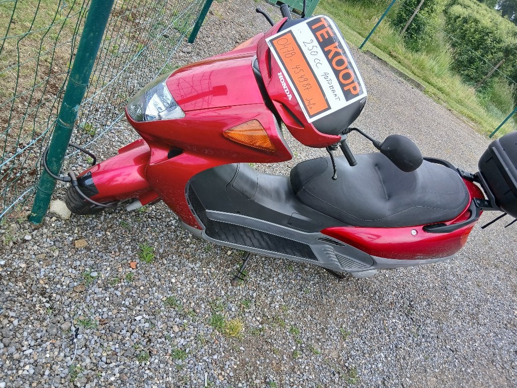 hond fes 250, Particulier, Scooter