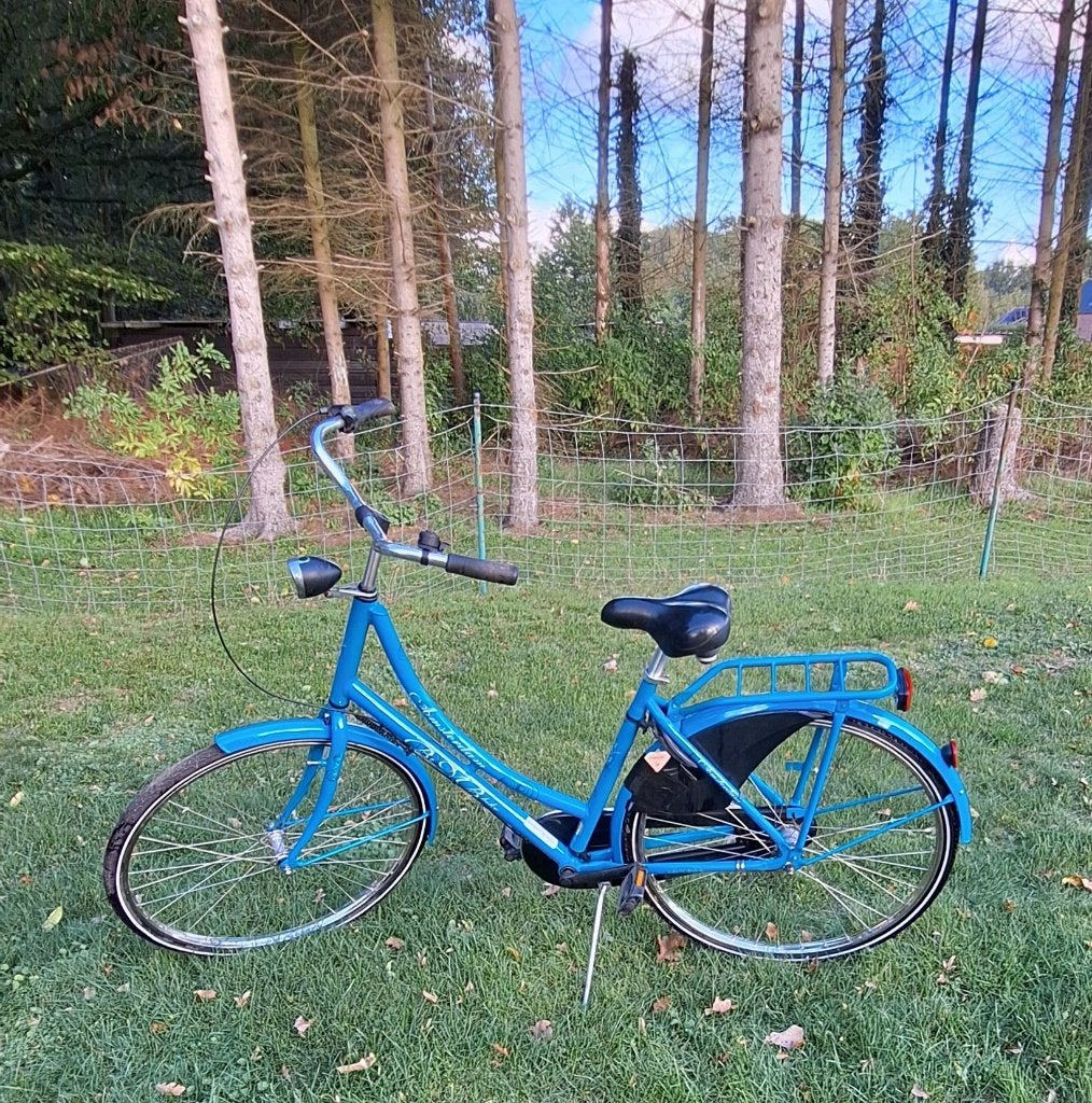 Omafiets meisjesfiets, Vitesses, Frein à rétropédalage, Enlèvement, Utilisé