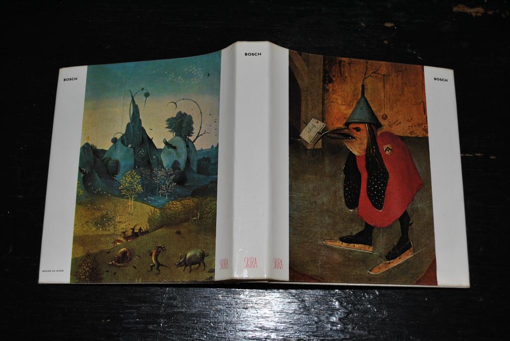Robert DELEVOY BOSCH EDITIONS ALBERT SKIRA 1960 RARE Jérôme, Gelezen, Robert DELEVOY, Ophalen of Verzenden, Schilder- en Tekenkunst