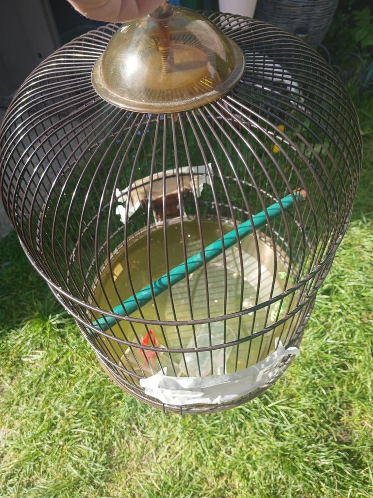 Grande cage, Ophalen of Verzenden