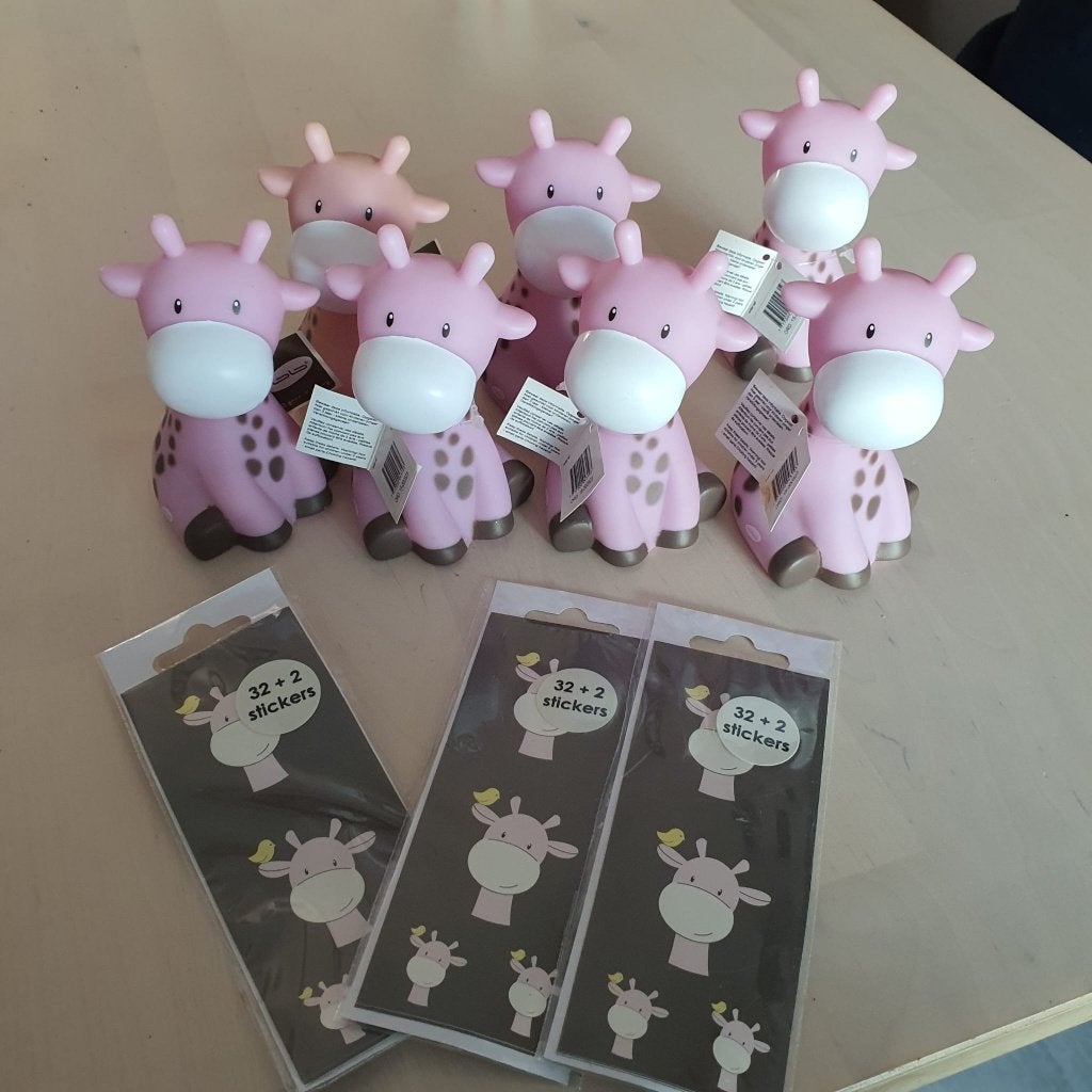 Raf de giraf roze van Bb collectie UITVERKOOP, Ophalen of Verzenden, Nieuw, Kraamcadeau