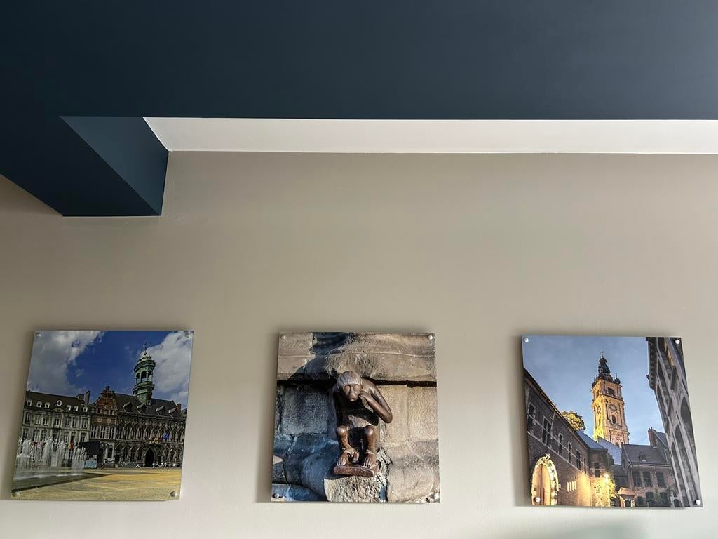tableaux ville de Mons, Antiquités & Art, Enlèvement