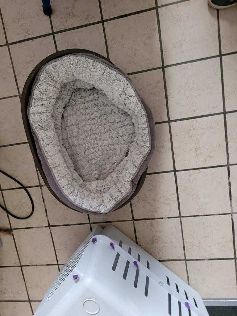 Hondenmand uit harde plastic en een zachte mand binnenin, Dieren en Toebehoren, Ophalen